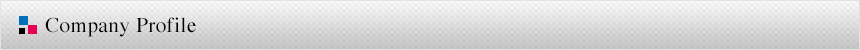 Company Profile